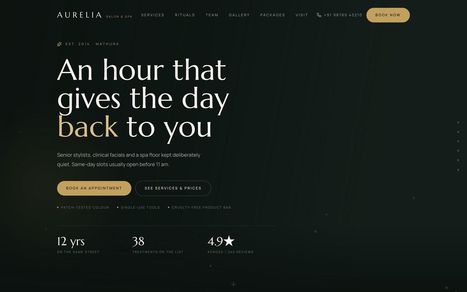 Salon & Spa Website — Template · Appointments